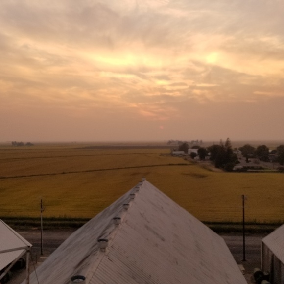 Meet your Posher, Vanessa - Picture 1 of 1